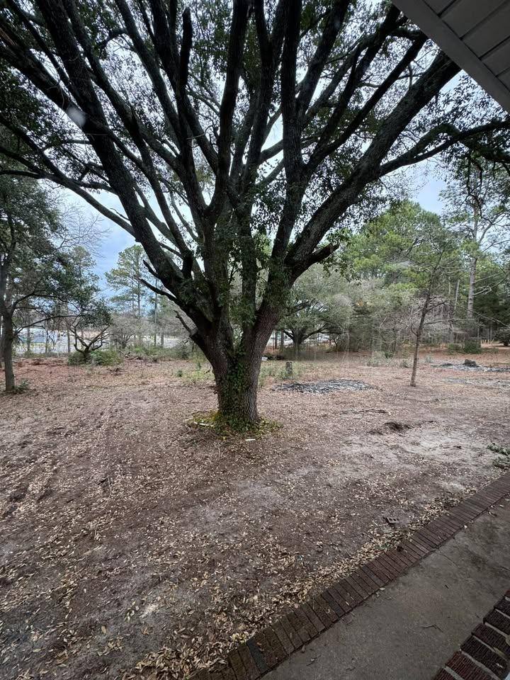 House for rent at 3512 Delree St, West Columbia, SC 29170
