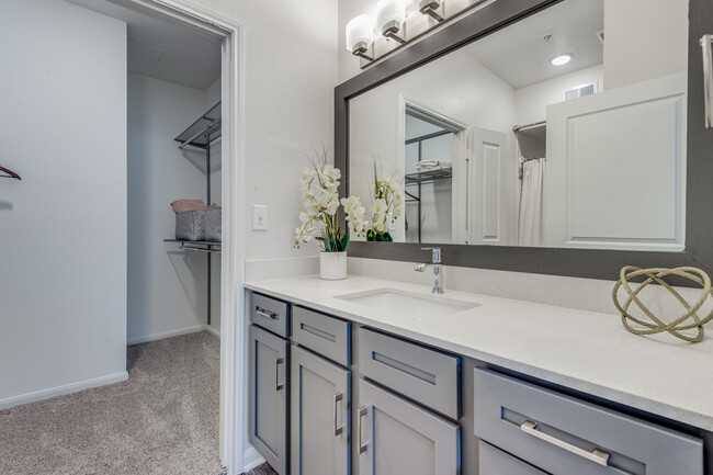 Apartment for rent at 7747 Kirby Dr #PK1, Houston, TX 77030
