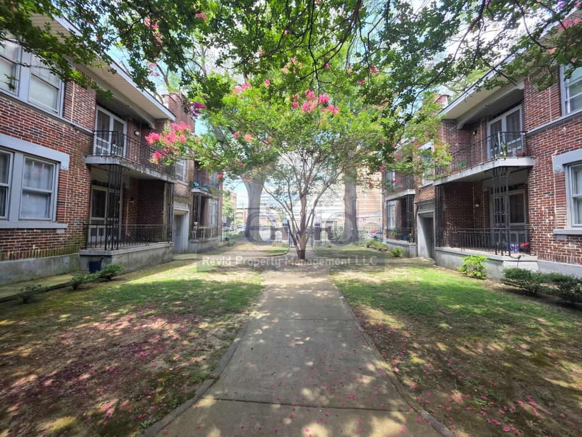 Apartment for rent at 220 S Cleveland St, Memphis, TN 38104