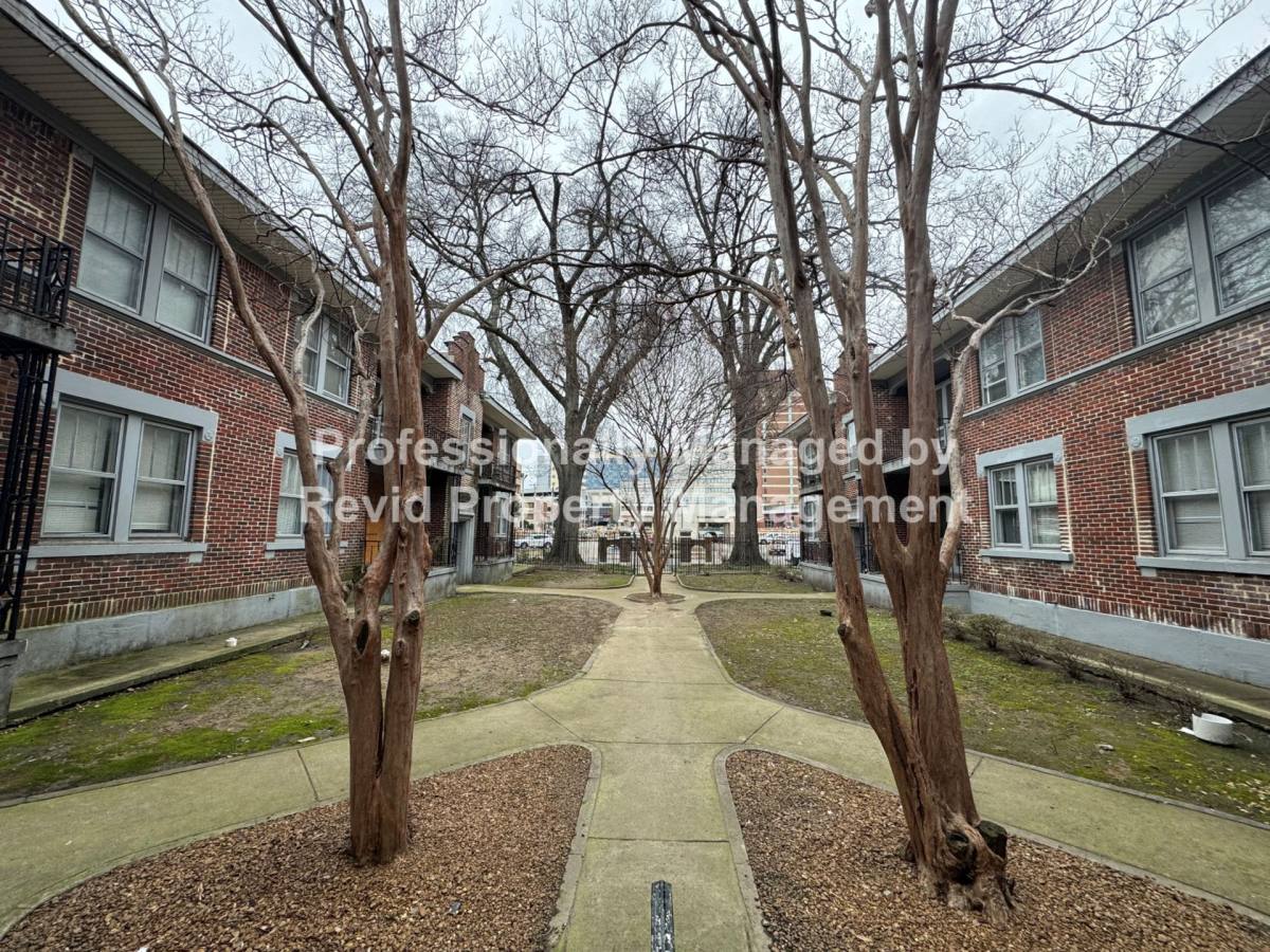 Apartment for rent at 220 S Cleveland St, Memphis, TN 38104