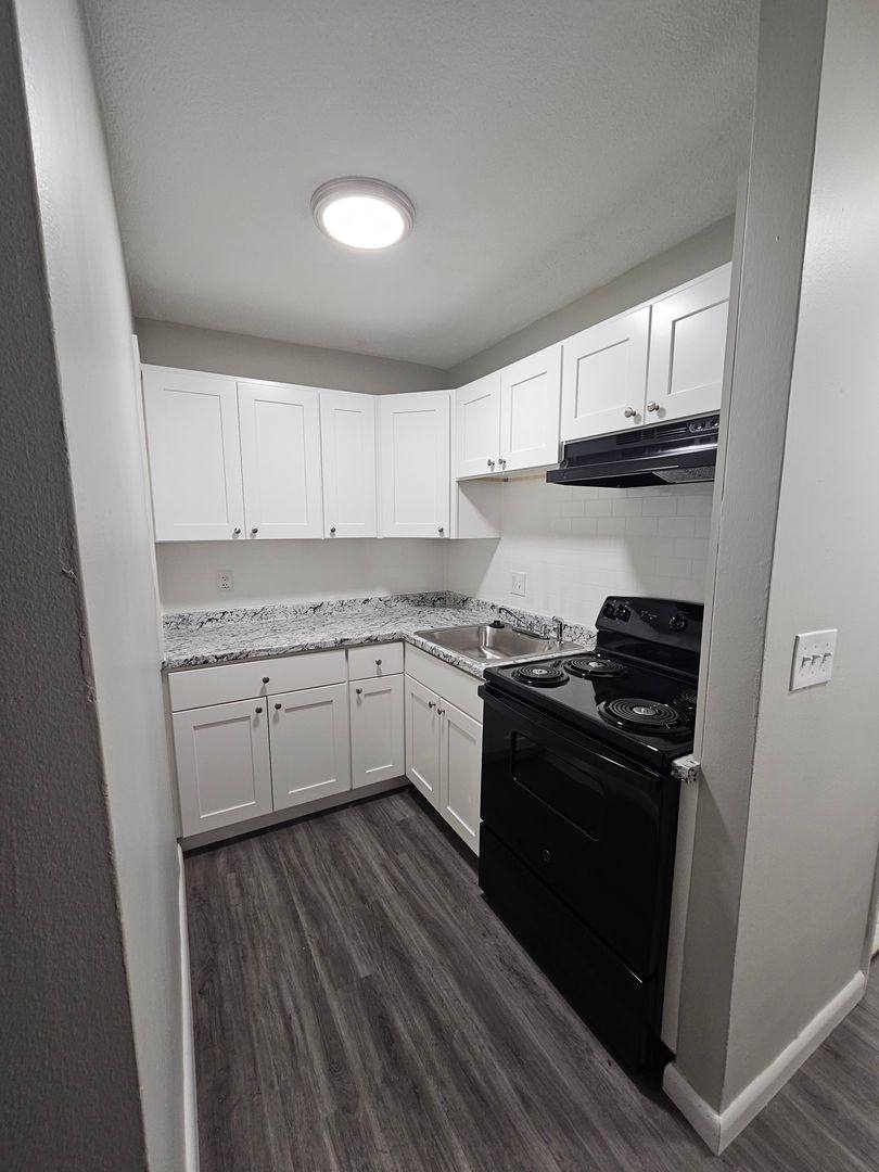 Apartment for rent at 1037 River St, Hyde Park, MA 02136