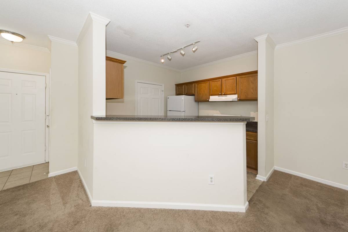 Apartment for rent at 45 Sycamore Ave, Charleston, SC 29407