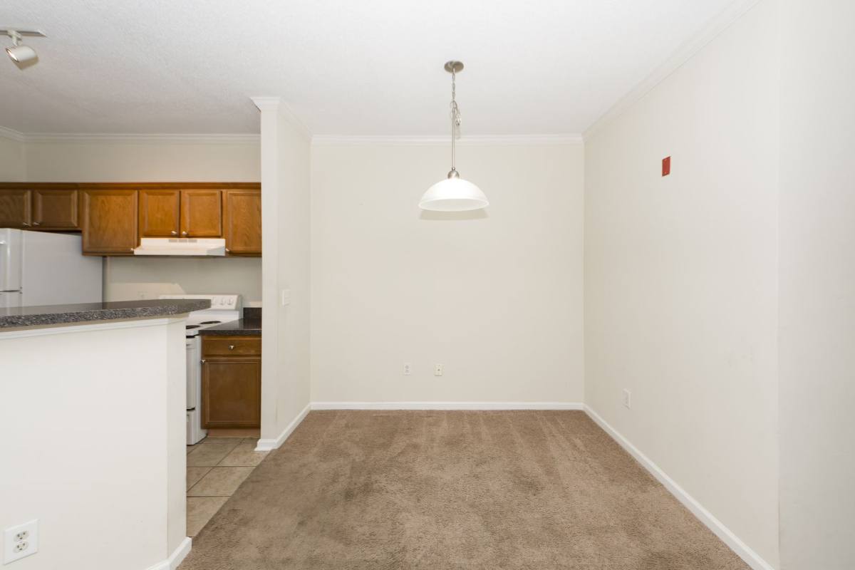 Apartment for rent at 45 Sycamore Ave, Charleston, SC 29407