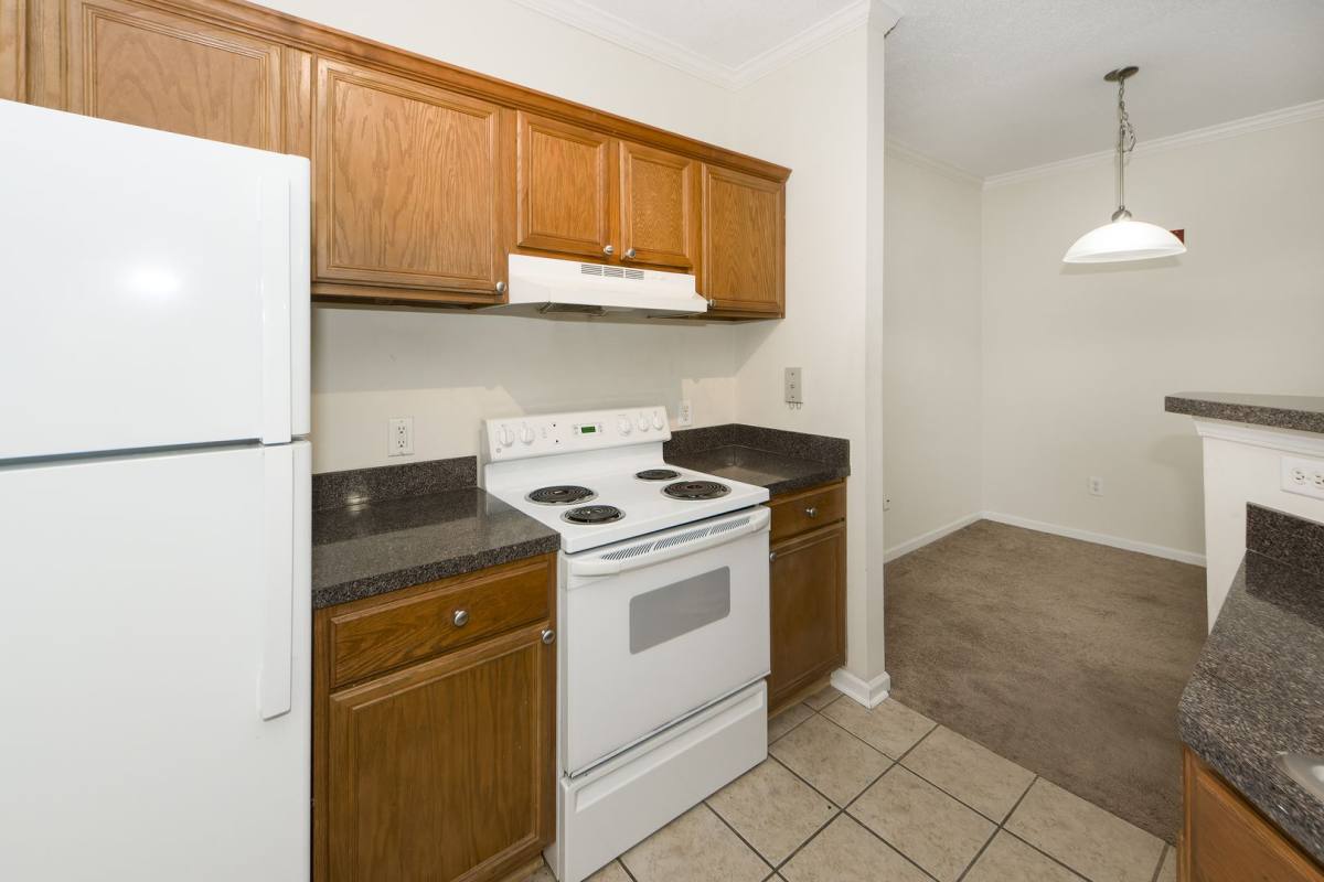 Apartment for rent at 45 Sycamore Ave, Charleston, SC 29407