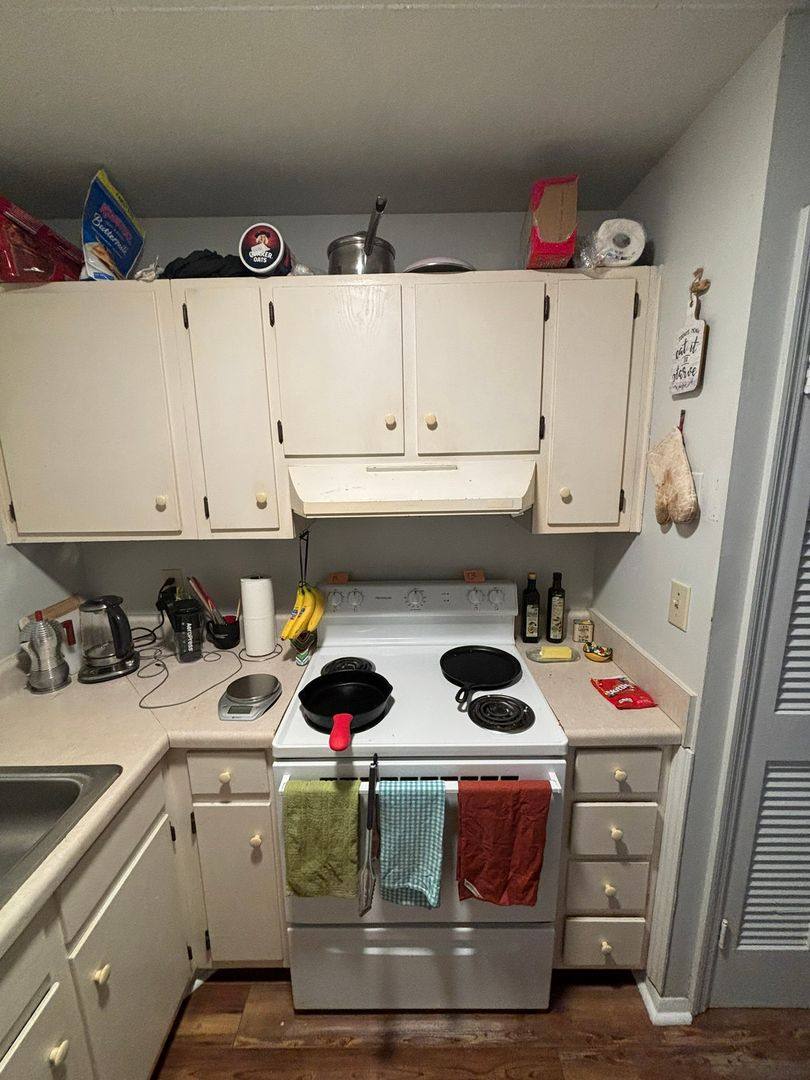 Apartment for rent at 284 Bloomfield St, Athens, GA 30605