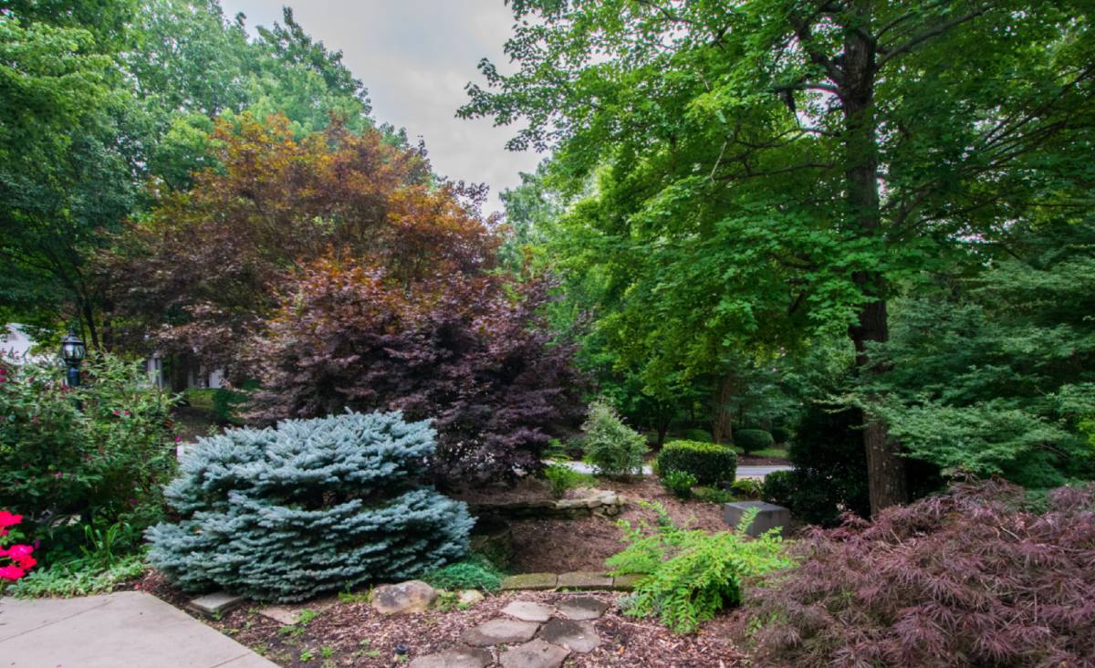 House for rent at 108 Jenny Lind Dr, Hendersonville, NC 28791