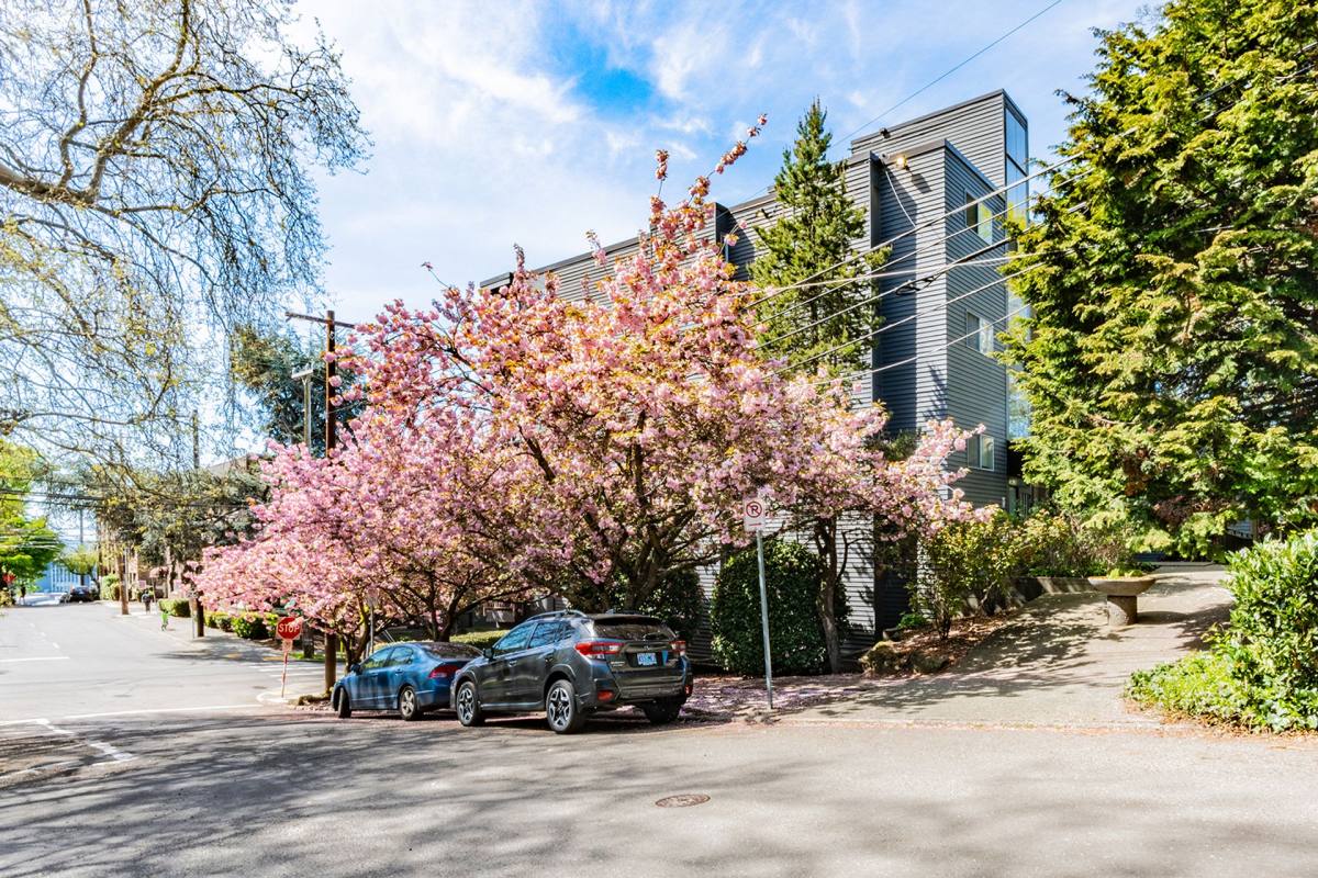 Apartment for rent at 1004 Belmont Ave E, Seattle, WA 98102