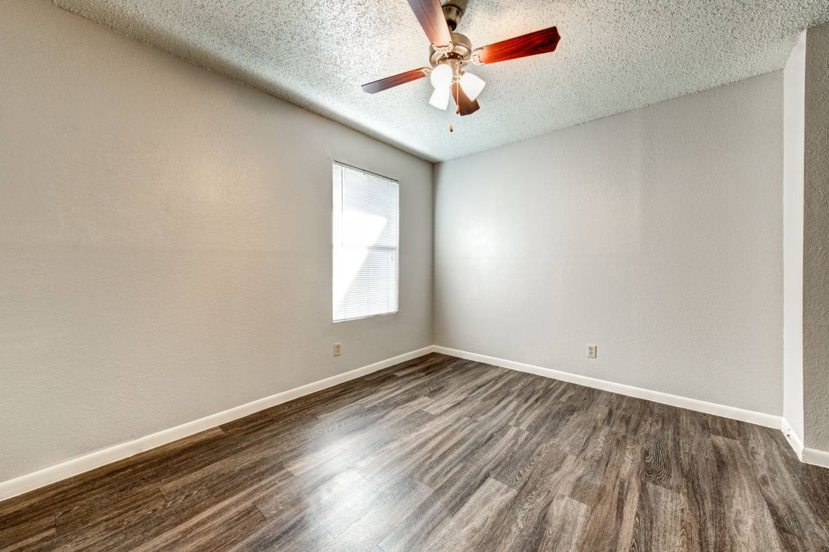Apartment for rent at 2406 Bluebonnet Lane, Austin, TX 78704