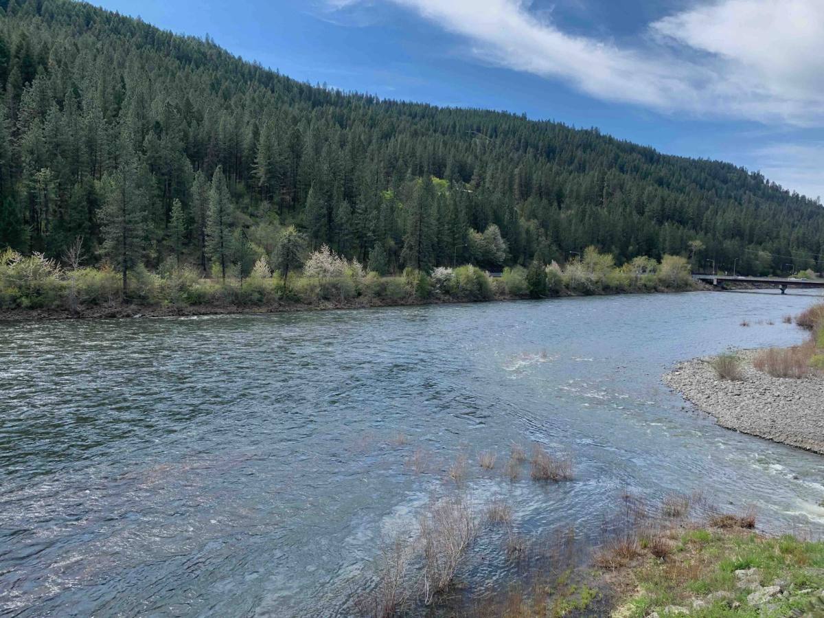 10560 Highway, Orofino, ID 83544 - Apartment For Rent - Image 2