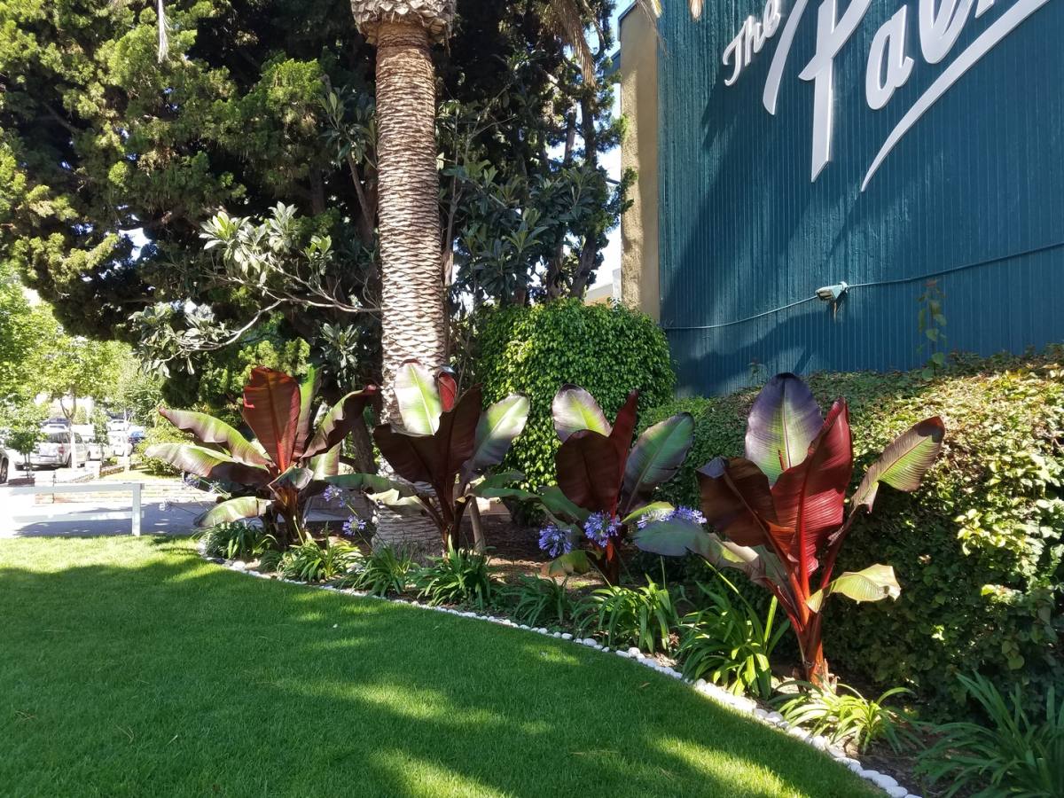 Apartment for rent at 3929 W 242nd St, Torrance, CA 90505