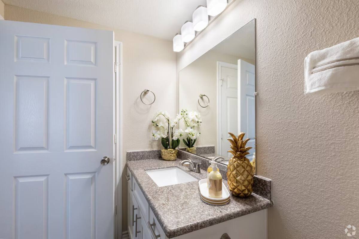 Apartment for rent at 10110 Charterwood Dr #PLVP2, Houston, TX 77070