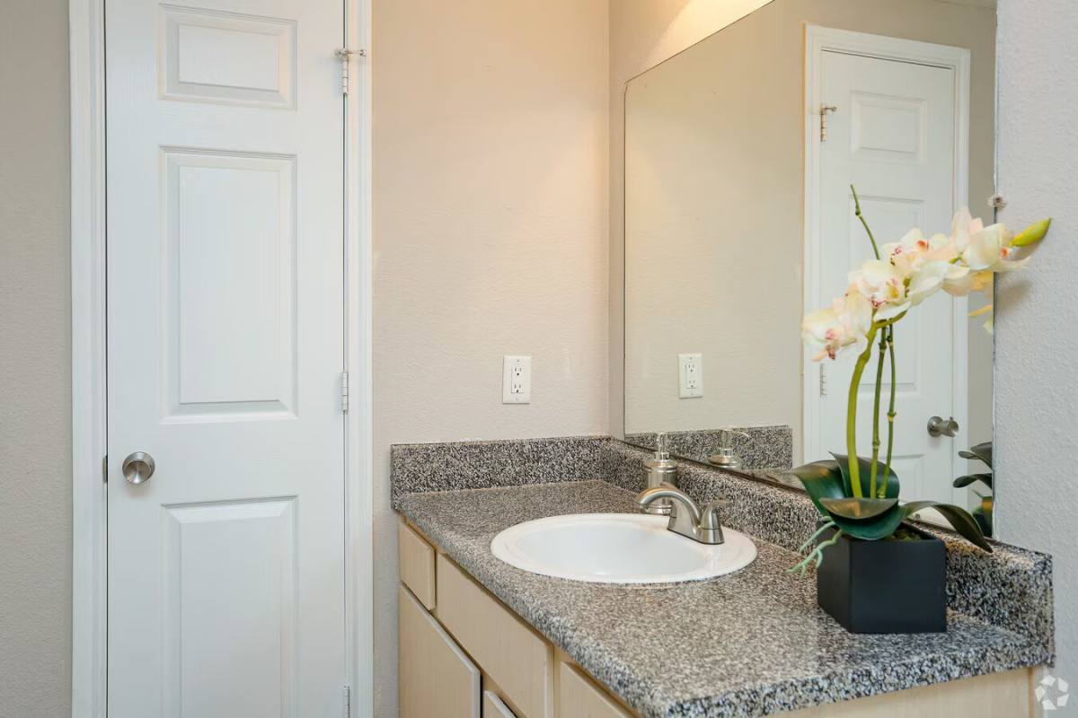 Apartment for rent at 10110 Charterwood Dr #PLVP2, Houston, TX 77070