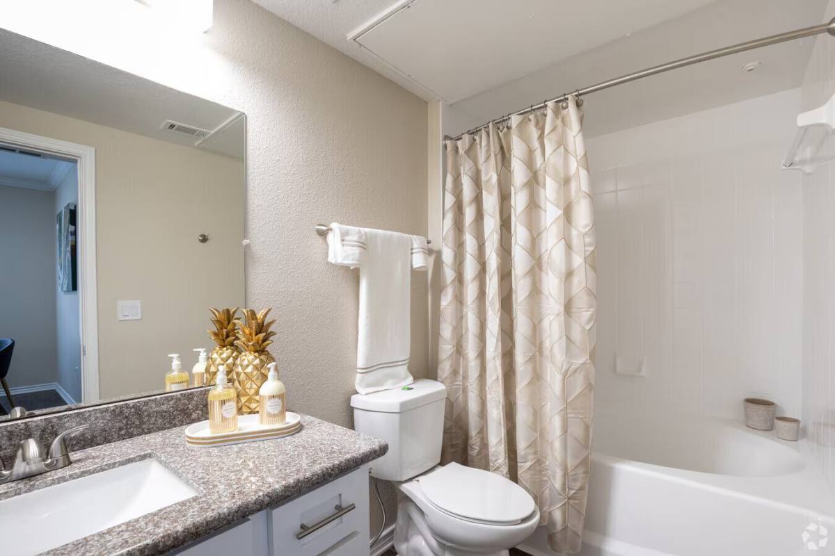 Apartment for rent at 10110 Charterwood Dr #PLVP2, Houston, TX 77070