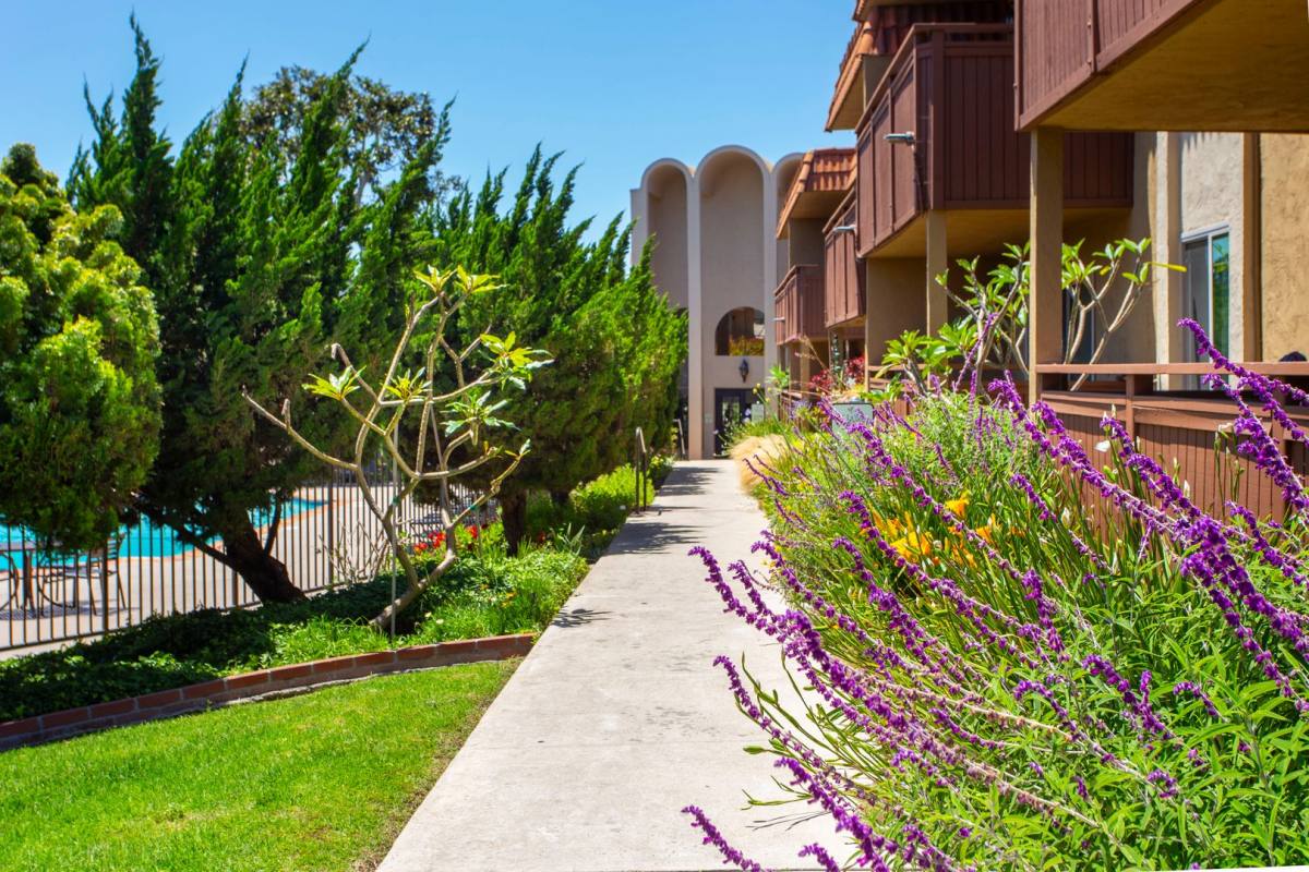 Apartment for rent at Volterra, 9071 Dallas St, La Mesa, CA 91942