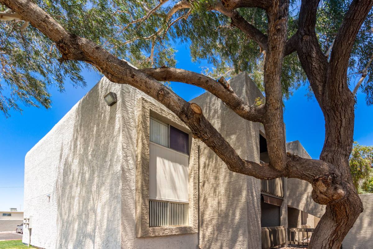 Apartment for rent at 210 N Alma School Rd, Mesa, AZ 85201