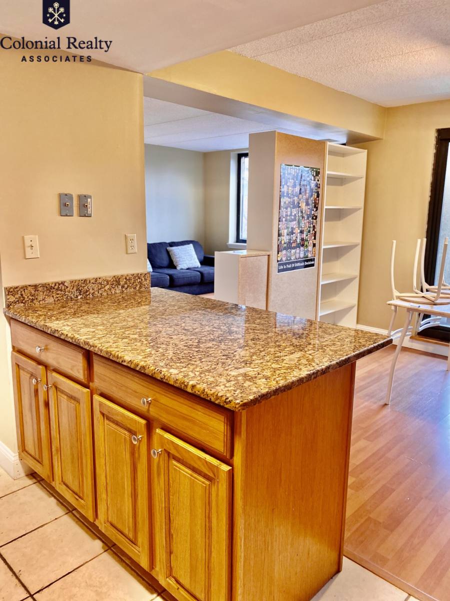 Condo for rent at 81 Brainerd Rd #316, Allston, MA 02134