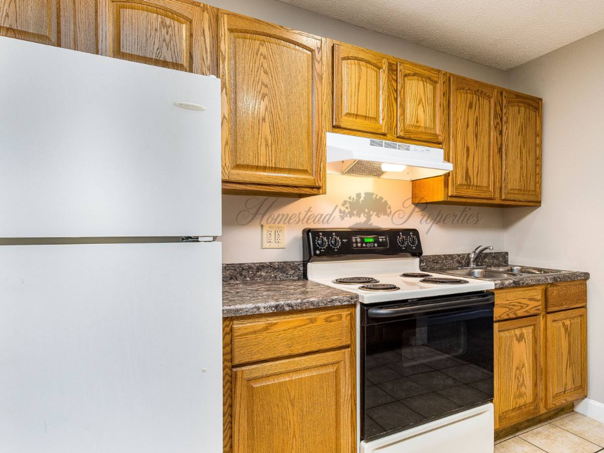 Apartment for rent at 103 Osborne Rd, Johnson City, TN 37601