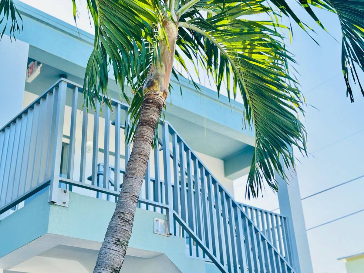 Apartment for rent at 1540 NW 1 Court, Miami, FL 33136