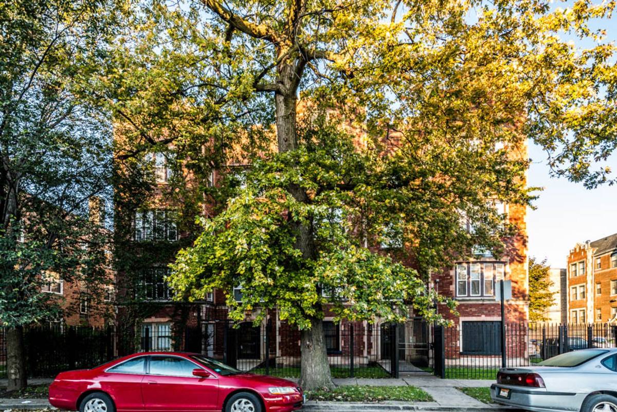 Apartment for rent at 8200-04 S Ingleside Ave, Chicago, IL 60619