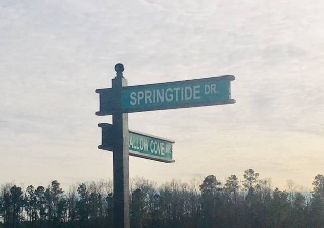 House for rent at 139 Springtide Dr, Conway, SC 29526
