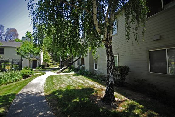 House for rent at 9145 Newhall Dr #51, Sacramento, CA 95826