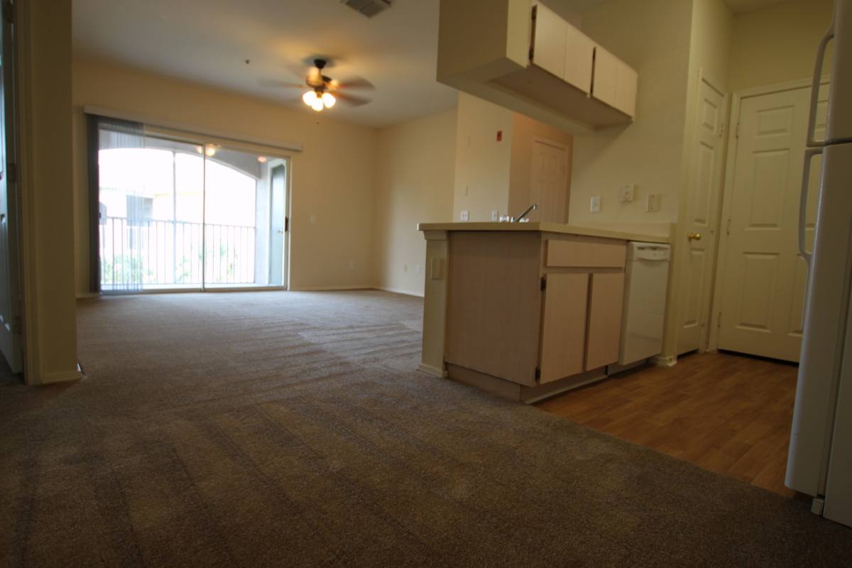 Apartment for rent at 13113 Sanctuary Cove Dr, Tampa, FL 33637