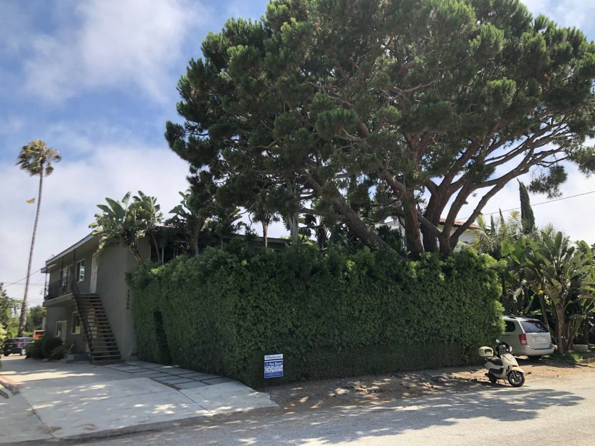 Apartment for rent at 12946 Walsh Ave, Los Angeles, CA 90066