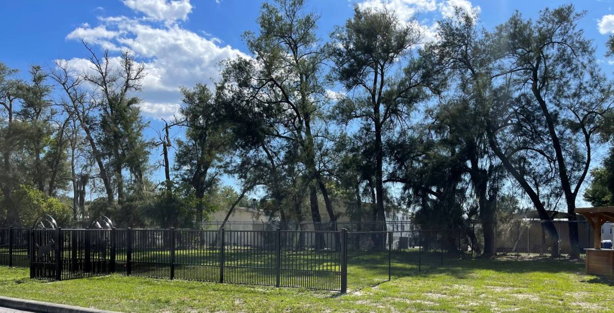 Apartment for rent at 14323 Lucerne Dr, Tampa, FL 33613