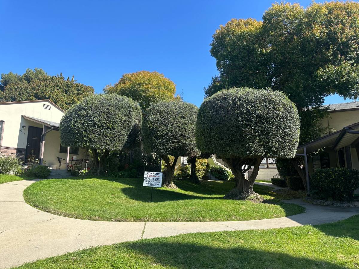 Apartment for rent at 7124 Flight Ave, Los Angeles, CA 90045