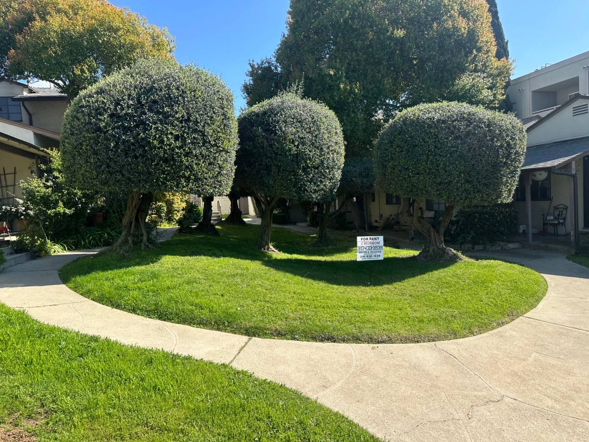 Apartment for rent at 7124 Flight Ave, Los Angeles, CA 90045
