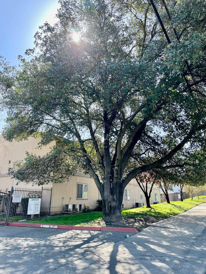 Apartment for rent at 3930 Hollister Ave, Carmichael, CA 95608