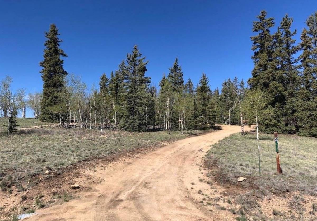 House for rent at 53 Warpath Rd, Como, CO 80432