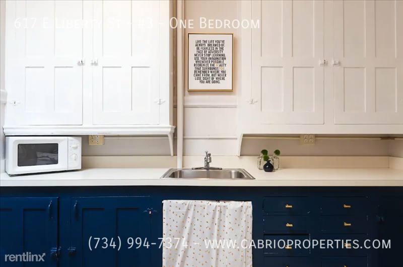 Apartment for rent at 617 E Liberty St #4-ONE, Ann Arbor, MI 48104
