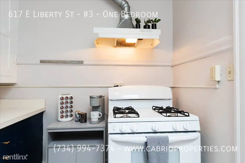 Apartment for rent at 617 E Liberty St #4-ONE, Ann Arbor, MI 48104
