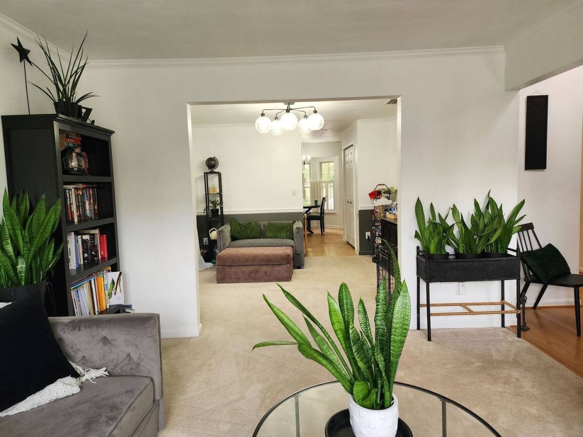 House for rent at 113 Heron Court, Williamsburg, VA 23188