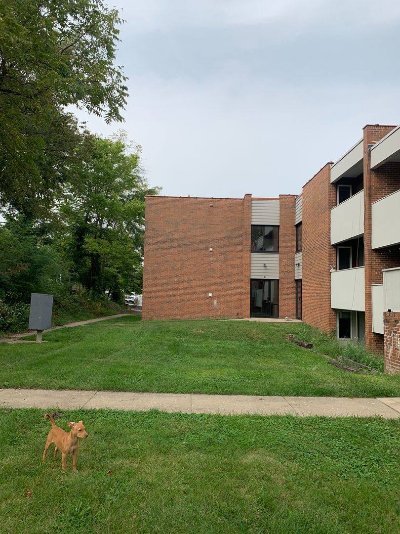 Condo for rent at 1503 Anthony St, Columbia, MO 65201