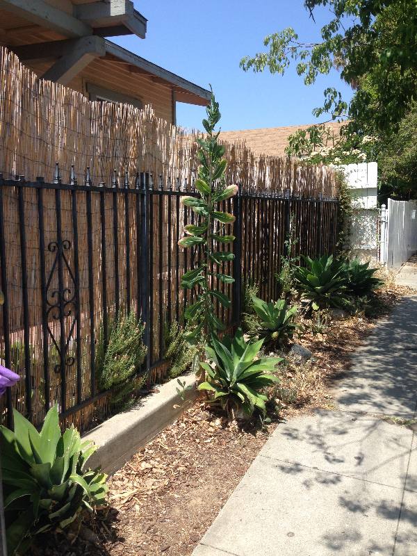 House for rent at 1804 Bellevue Ave, Los Angeles, CA 90026