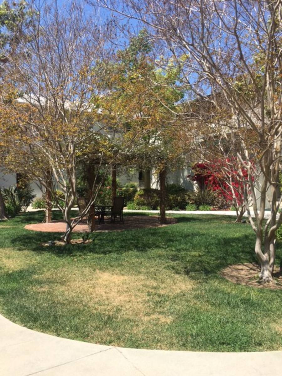 Apartment for rent at 1632 N Laurel Ave, Los Angeles, CA 90046