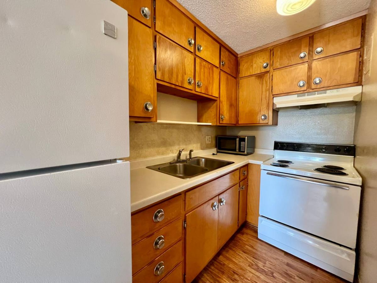 Apartment for rent at 109 16th St NE, Rochester, MN 55906