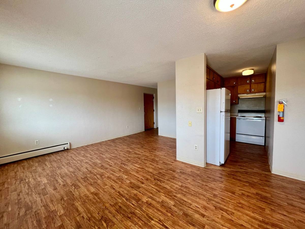 Apartment for rent at 109 16th St NE, Rochester, MN 55906