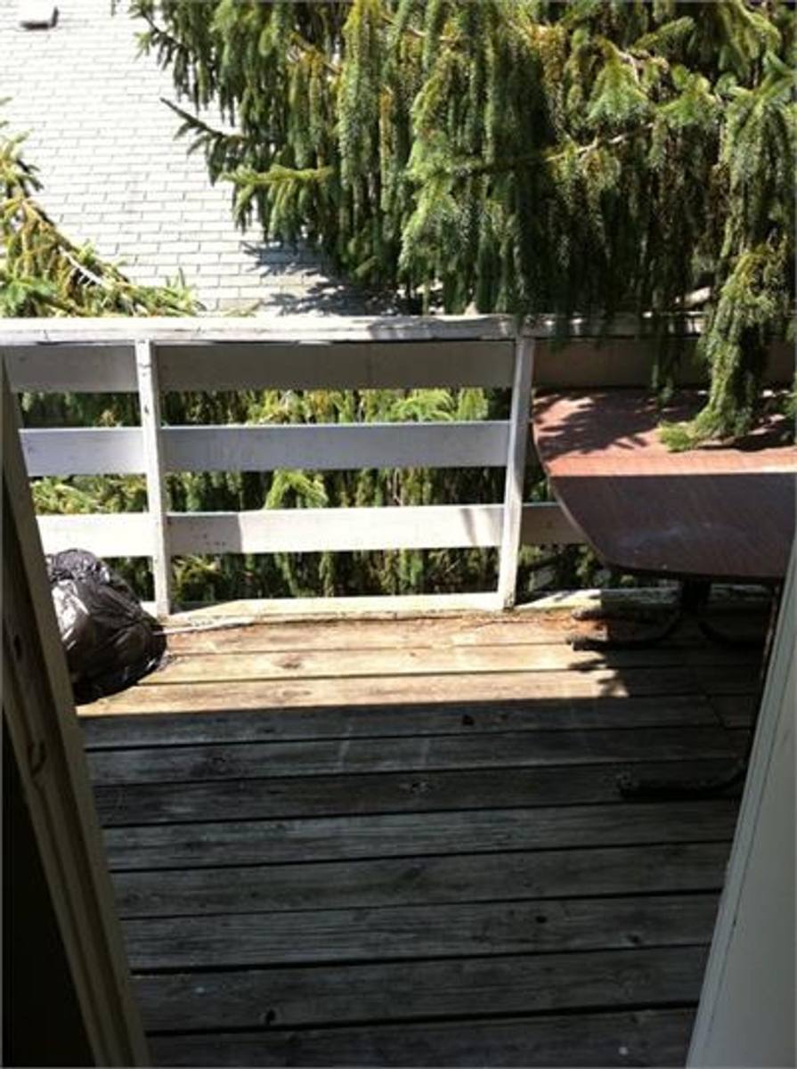 Apartment for rent at 805 E Main St, Urbana, IL 61802