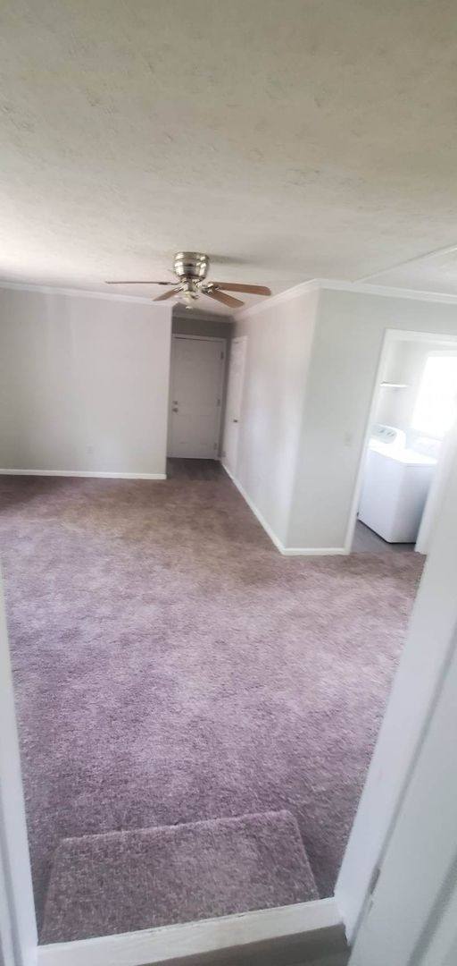 House for rent at 303 Martin Luther King Dr, New Brockton, AL 36351