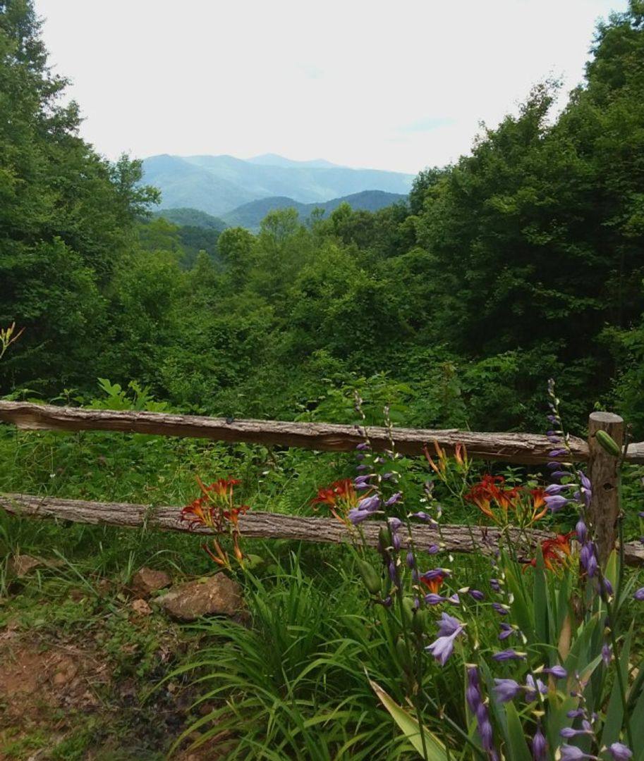 House for rent at 1299 Too Sweet Rd, Sylva, NC 28779