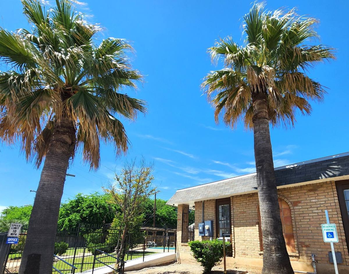 Apartment for rent at 2431 Pinn Rd, San Antonio, TX 78227