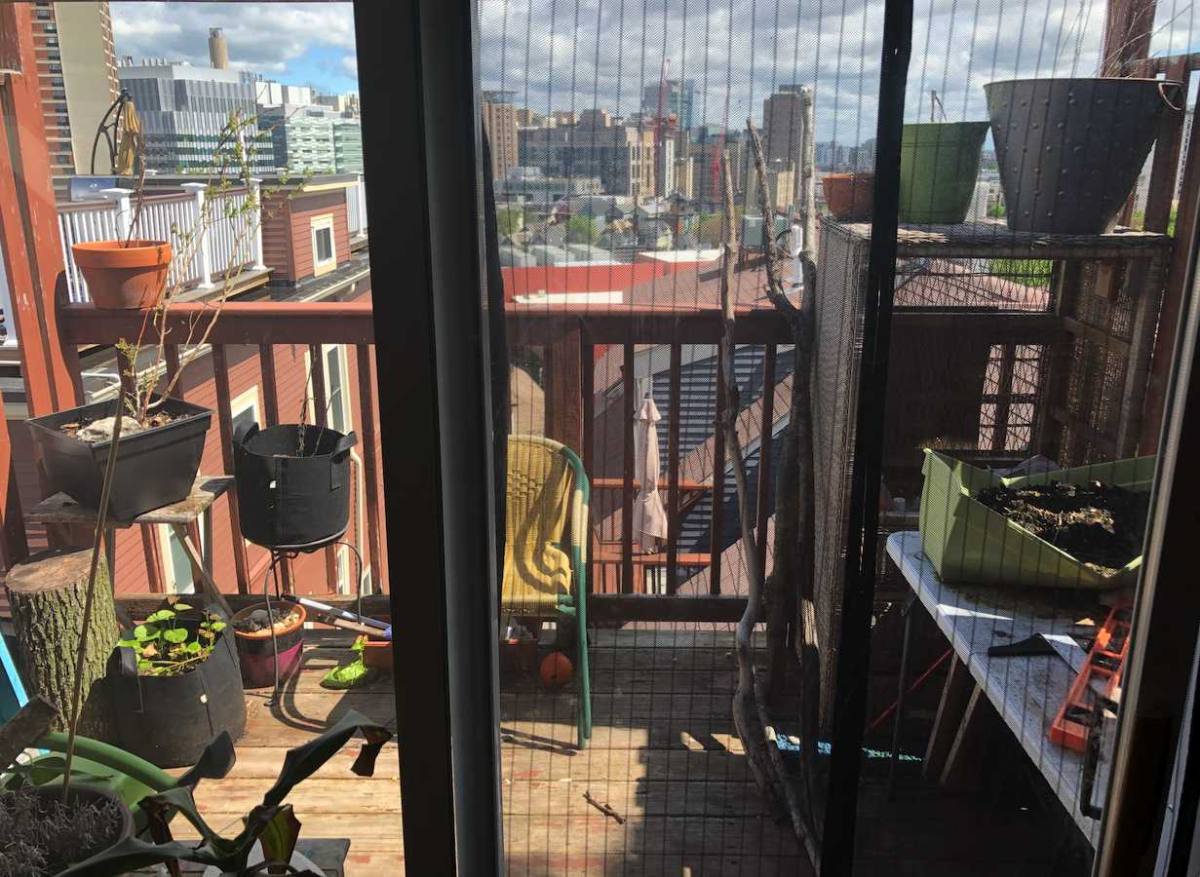 Apartment for rent at 18 Sunset St, Roxbury Crossing, MA 02120