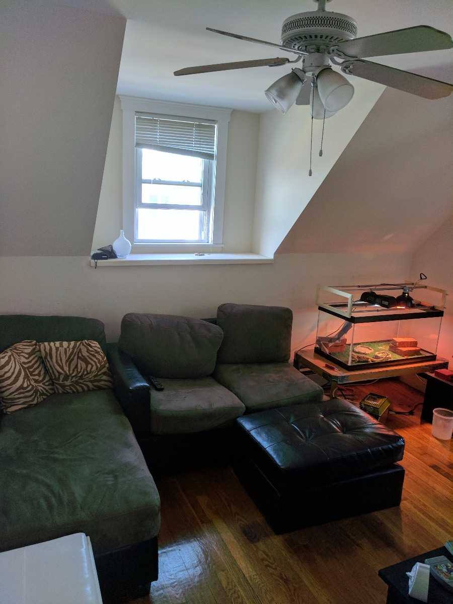Apartment for rent at 70 Walden St, Cambridge, MA 02140