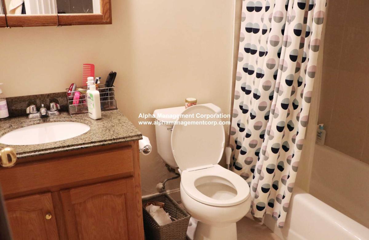 Apartment for rent at 28 Euston St, Brookline, MA 02446