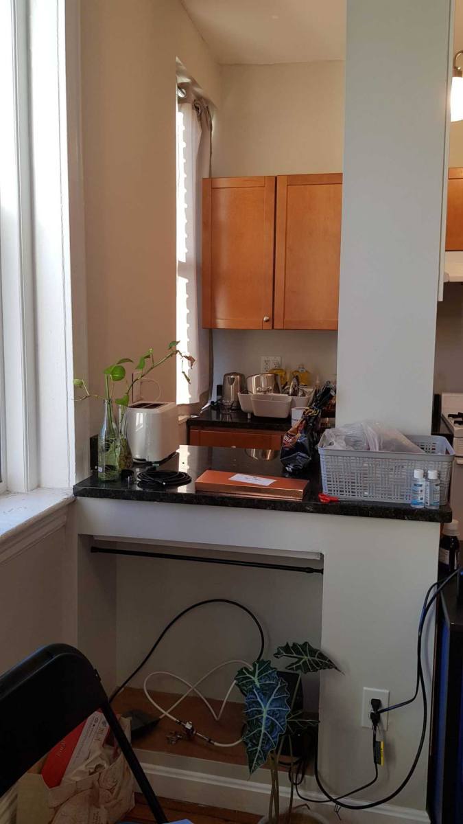Apartment for rent at 1207 Commonwealth Ave, Allston, MA 02134