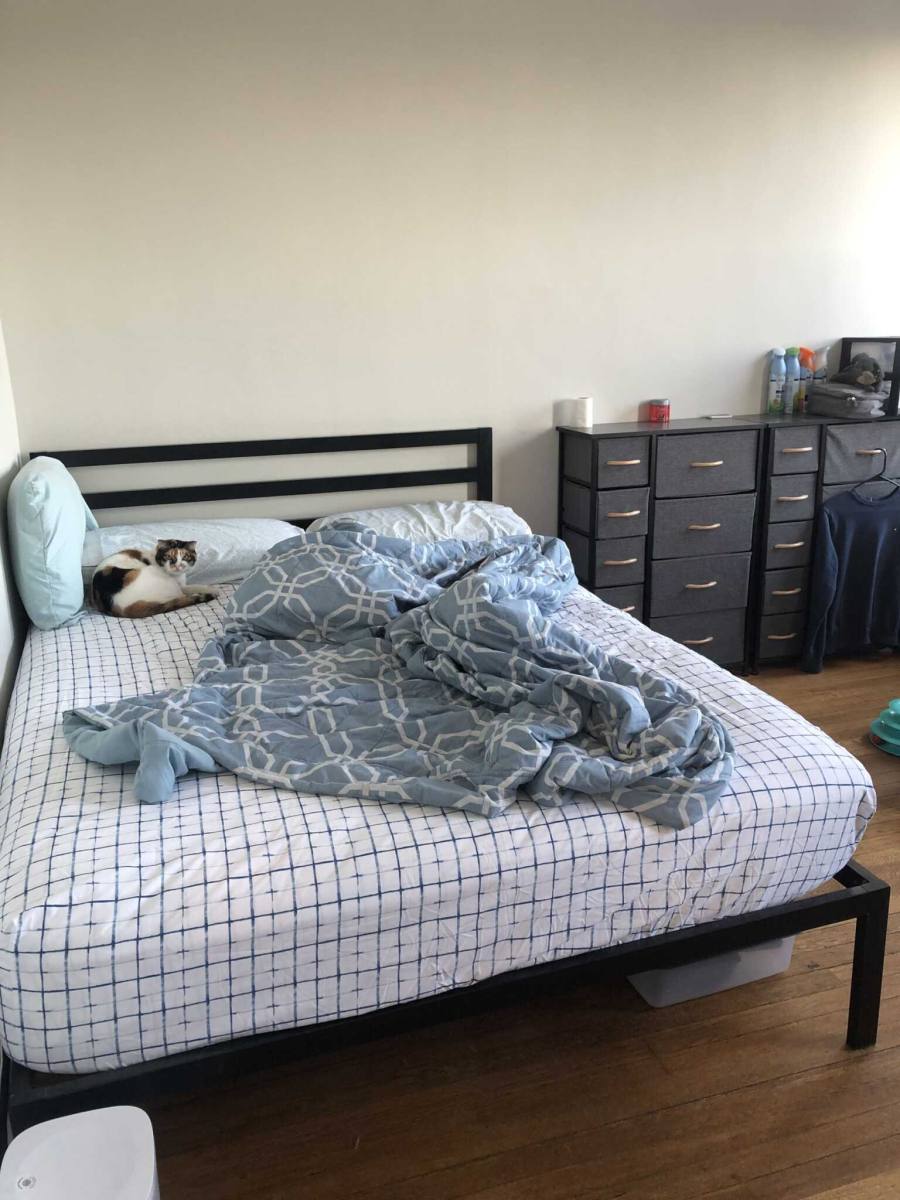 Apartment for rent at 1199 Commonwealth Ave, Allston, MA 02134