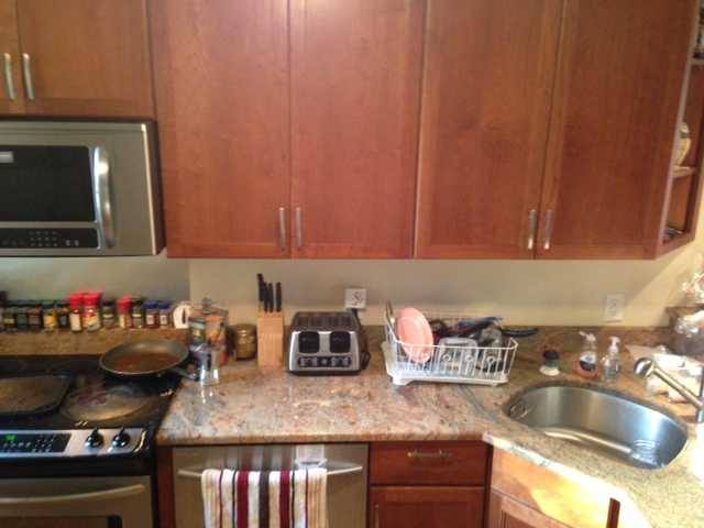 Apartment for rent at 11 Terrace St, Roxbury Crossing, MA 02120